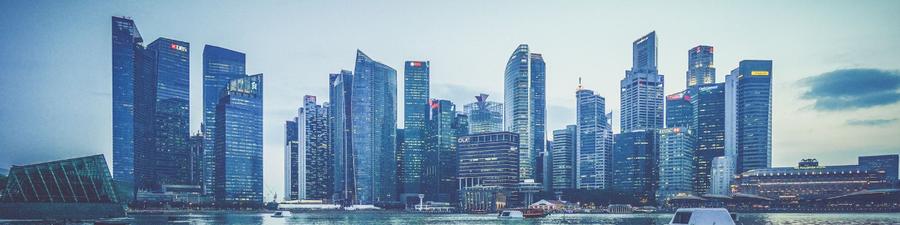 深入了解新加坡公司信息查询：揭秘查到几级股东